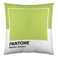 Pikkukuva 2 / 2: Tyynysuoja Wide Pantone Localization-B086JPN8MY 50 x 50 cm