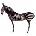 Miniatyrbillede 1 af 2: Pude 8430852873231 Sort Hvid 9 x 54 x 72 cm