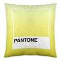 Miniatyrbillede 2 af 2: Pudebetræk Ombre C Pantone Localization_B086JQZYZH Vendbar 50 x 50 cm