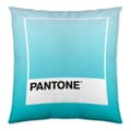 Miniatyrbillede 2 af 2: Pudebetræk Ombre Pantone Localization-B086JQ1ZM7 Vendbar 50 x 50 cm