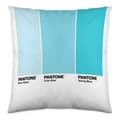 Miniatyrbillede 1 af 2: Pudebetræk Ombre Pantone Localization-B086JQ1ZM7 Vendbar 50 x 50 cm