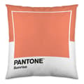 Miniatyrbillede 2 af 2: Pudebetræk Wide C Pantone Localization-B086JPW2VB Vendbar 50 x 50 cm