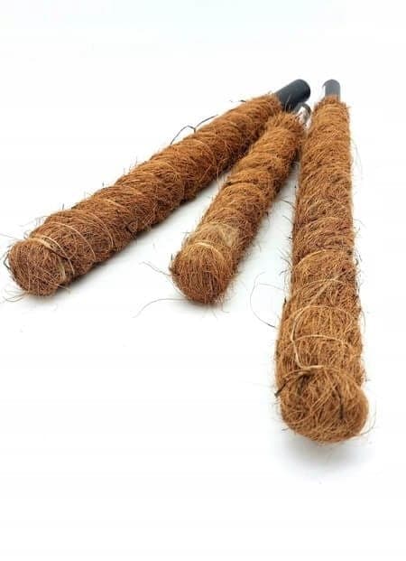 Dekorativt växtstöd för kokosnöt, Eco, 80 cm