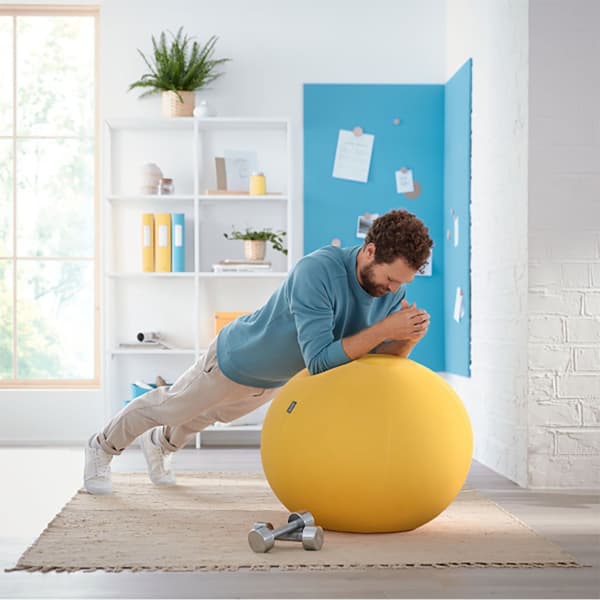 Leitz Liukumaton Istuinpallo Active Ergo Cosy 65 Cm