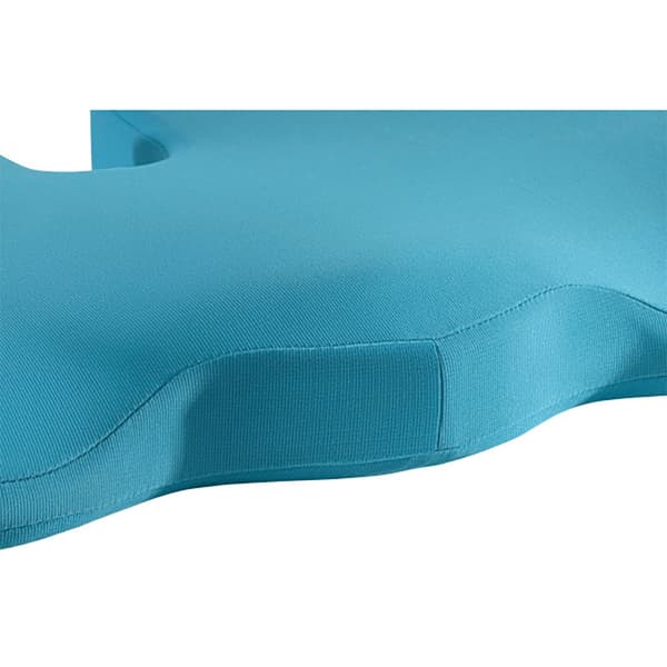 Leitz Työtuolin Tyyny Active Ergo Cosy