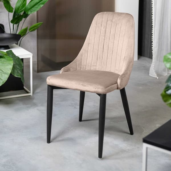 Stol | LOUIS | sammetsbeige | 44x59x88 cm | 823966