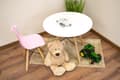 Miniatyrbild 9 av 10: ZUBI stol - rosa x 3
