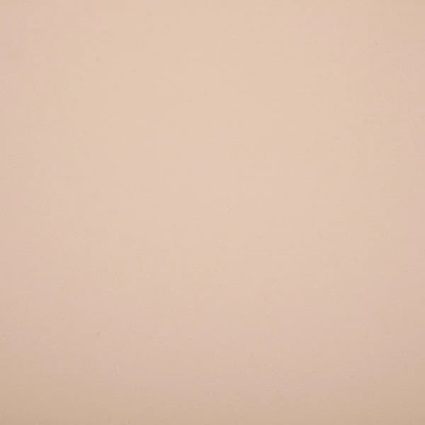 Baya Atmosphera stol i skandinavisk stil - Beige