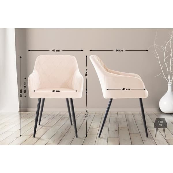 2 x Matstolar Shila med Armstöd och Metallben, Beige-Velour
