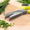 Pikkukuva 4 / 8: 5-in-1 Moniteräiset Keittiösakset Fivessor InnovaGoods