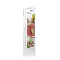 Miniatyrbild 11 av 11: Kubskärare för Vattenmelon Cutmil InnovaGoods