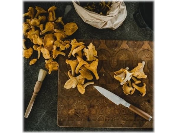 Fiskars Norden - Kokkiveitsi - Pieni (12,4 cm)