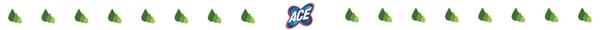 ACE Valkaisuaine 1l