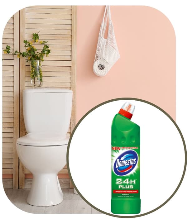 Domestos 750ml