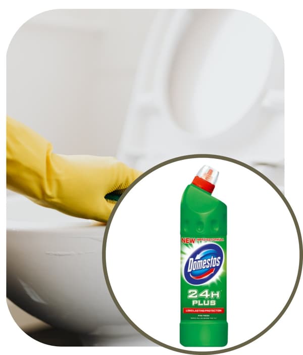 Domestos 750ml