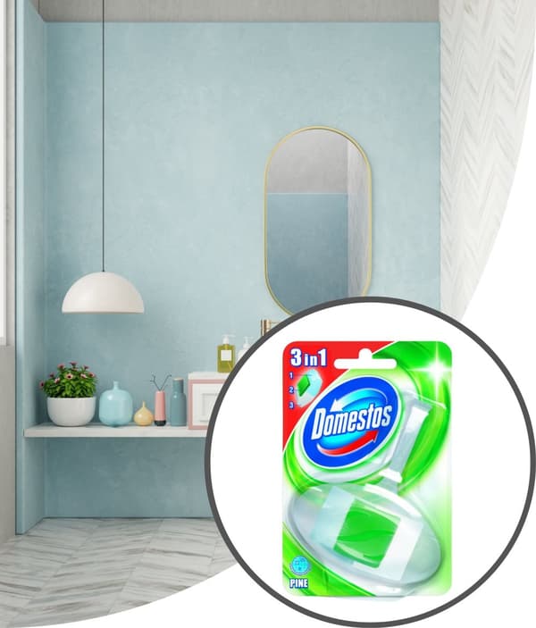 Domestos toalettblock med korg