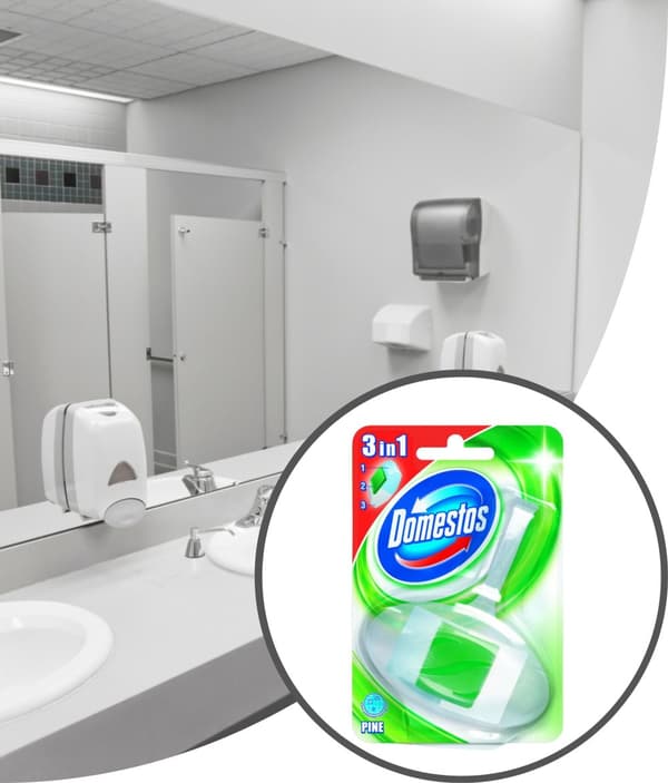 Domestos toalettblock med korg