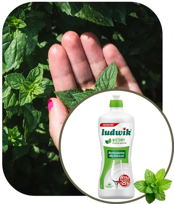 LUDWIK 900G diskmedel med mint