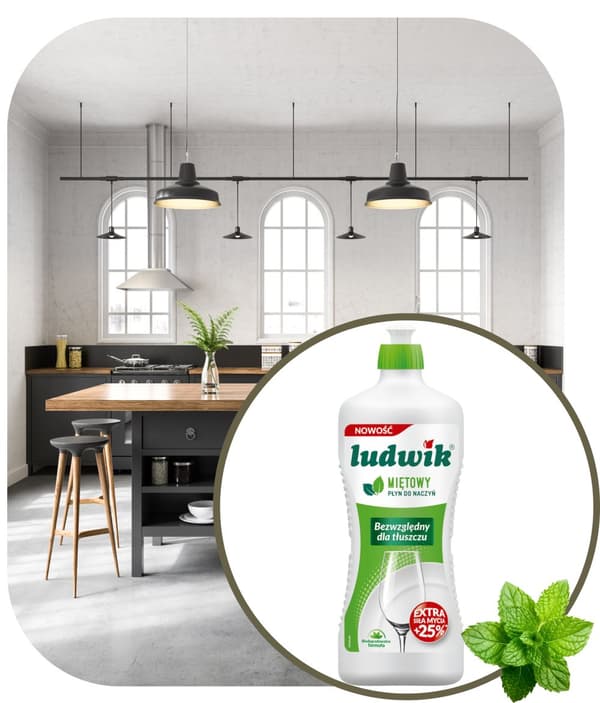 LUDWIK 900G diskmedel med mint