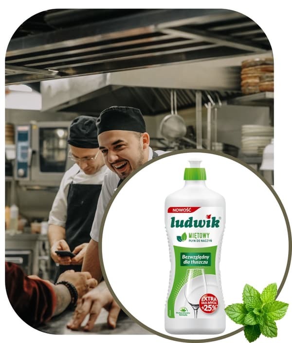 LUDWIK 900G diskmedel med mint