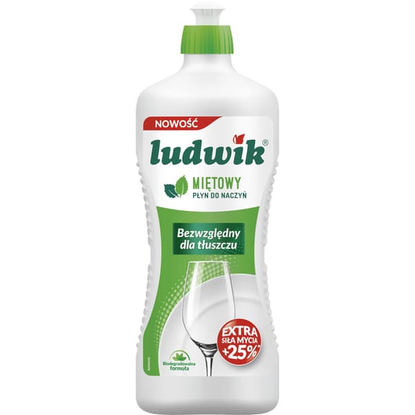 LUDWIK 900G diskmedel med mint