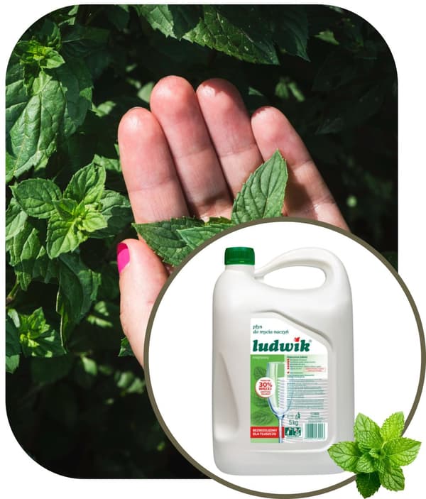 Ludwik opvaskemiddel 5l mint