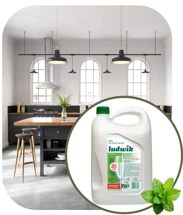 Ludwik opvaskemiddel 5l mint