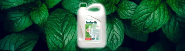 Ludwik opvaskemiddel 5l mint