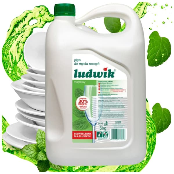 Ludwik opvaskemiddel 5l mint