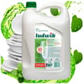 Miniatyrbillede 2 af 7: Ludwik opvaskemiddel 5l mint