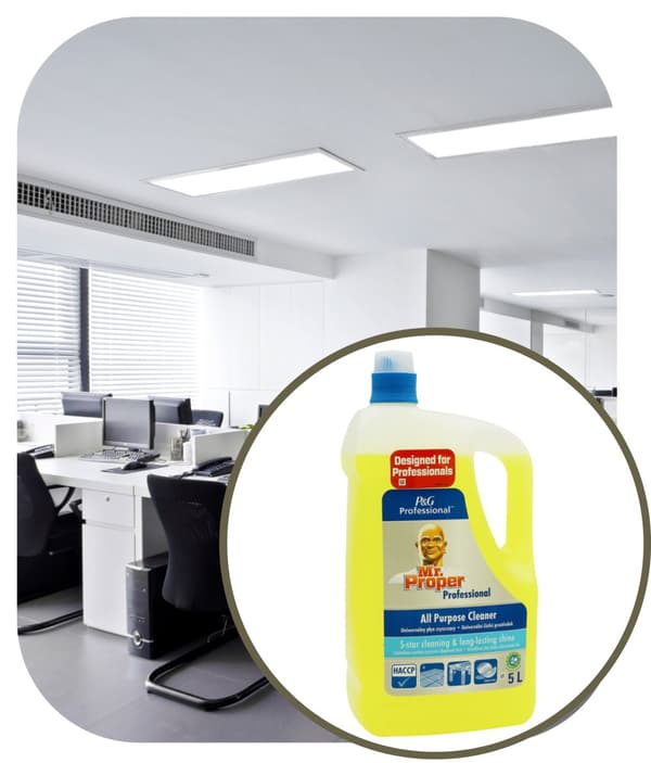Mr Proper Yleispuhdistusaine Sitruuna 5l