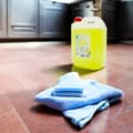 Pikkukuva 8 / 8: Yleiskäyttöinen neste Bingo Lemon Garden 5l