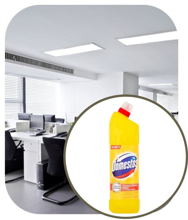 Domestos Citrus 1000ml