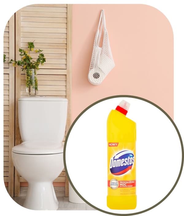 Domestos Citrus 1000ml