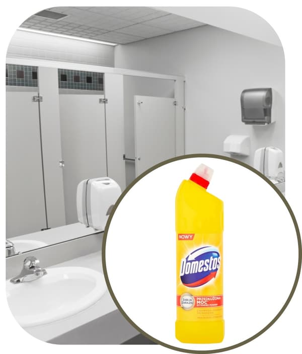 Domestos Citrus 1000ml