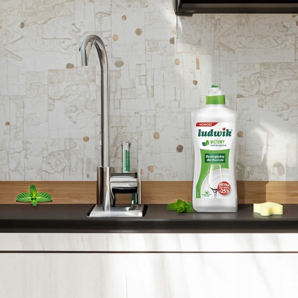 Ludwik opvaskemiddel 500 ml / 450 g mynte