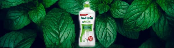 Ludwik opvaskemiddel 500 ml / 450 g mynte