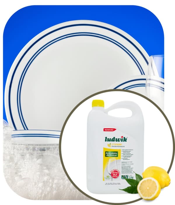 Ludwik opvaskemiddel 5 l citron