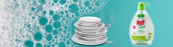 Dual Power opvaskemiddel 1 l Eco