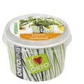 Miniatyrbild 1 av 2: KIT ORTOLINO SALVIA VERDEMAX ORTO SEMEN I KÖKET GÖR DET SJÄLV BÄRBAR