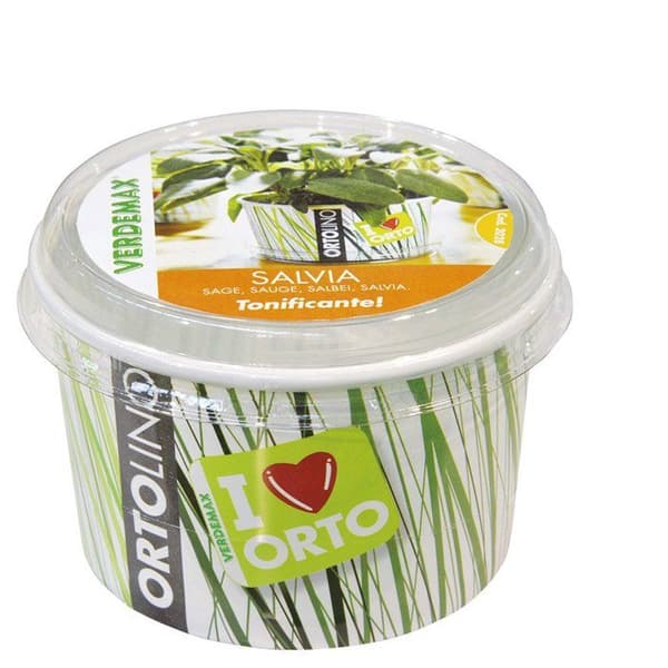KIT ORTOLINO SALVIA VERDEMAX ORTO SEMEN I KÖKET GÖR DET SJÄLV BÄRBAR