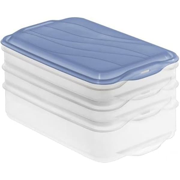 Deli box - Rotho - 3 fack - Blå färg - Lätt - Praktisk för förvaring