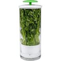 Miniatyrbild 3 av 5: Herb Cooler Förvaring av grönsaker och örter