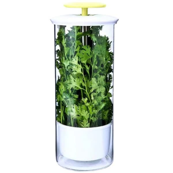 Herb Cooler Förvaring av grönsaker och örter