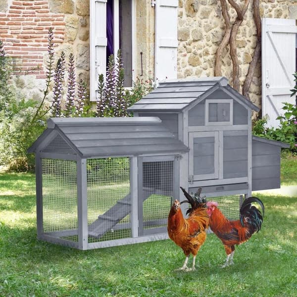 Rootz Chicken Hutch - Bantam Chicken Coop - Hønsehus - Aftagelig gulvpande - Grantræ - Grå - 150,5 cm x 54 cm x 87 cm