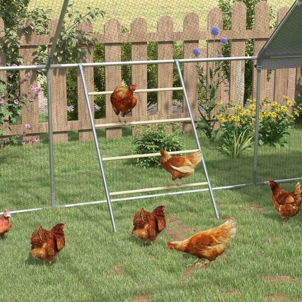Rootz Chicken Seat Tikkaat - Kanan ahven - siipikarjan paahtoteline - sääkestävä - 140 cm x 86 cm x 2,5 cm - 4-6 kanaalle