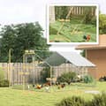 Pikkukuva 3 / 10: Rootz Chicken Coop Freewheel -kotelo - UV -kestävä tarpauliini - Teräs ritilä - 12-18 Kanan kapasiteetti - 300 cm x 400 cm x 195cm