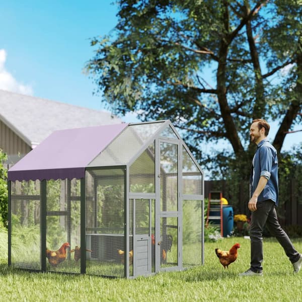 Rootz Chicken -kotelo - Chicken Coop - siipikarjan talo - Vedenpitävä katto - 1,7 x 1,8 x 1,8 m - 6-8 kanaalle