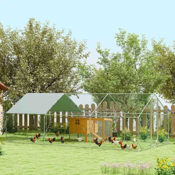 Rootz Chicken Coop -kabinet - Freewheel - UV -resistent - Rummeligt 18m² område - 300 cm x 600 cm x 195 cm