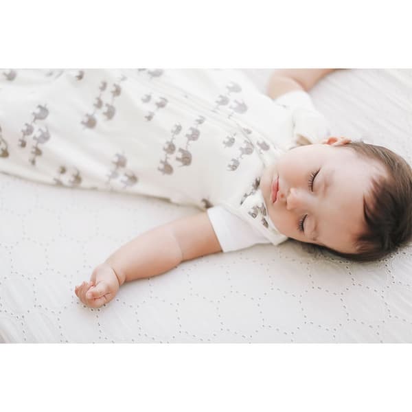 Ergobaby Klassisk Sovepose Elefanter Tog 1.0 Beige 0-6 Months